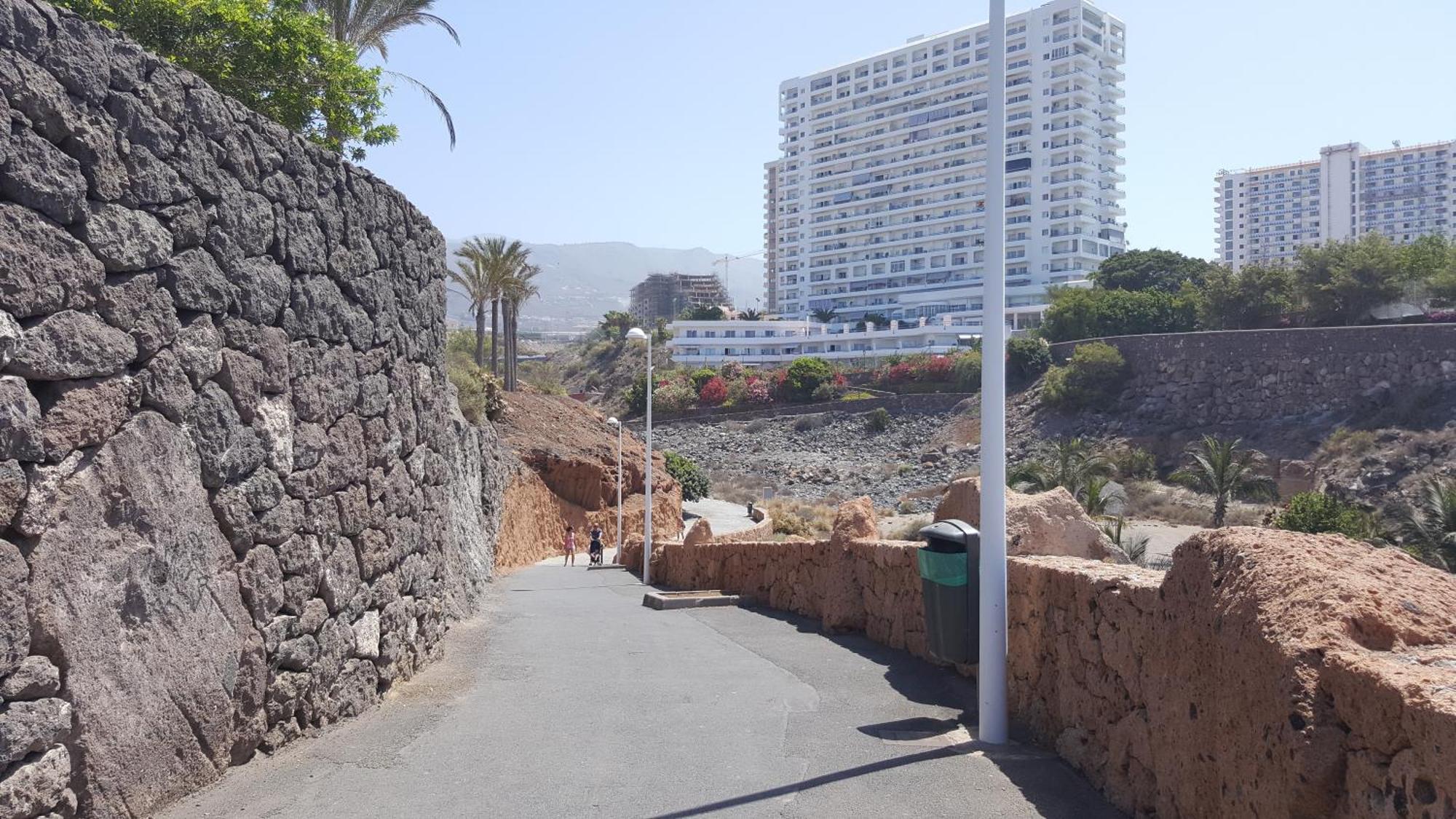 Paraíso Del Sur Playa Paraiso (Tenerife) Exterior foto