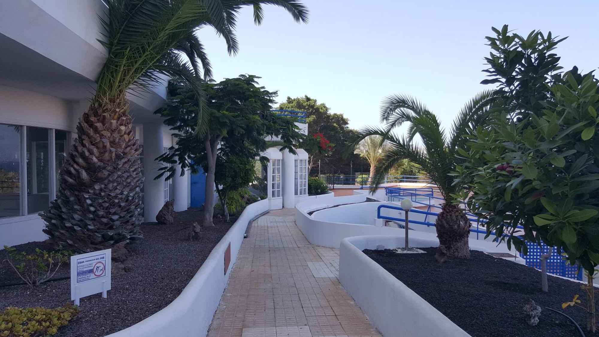 Paraíso Del Sur Playa Paraiso (Tenerife) Exterior foto
