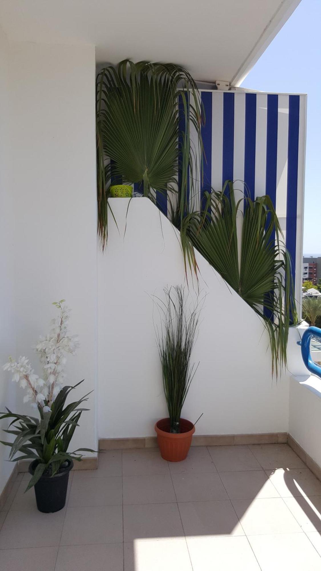 Paraíso Del Sur Playa Paraiso (Tenerife) Exterior foto