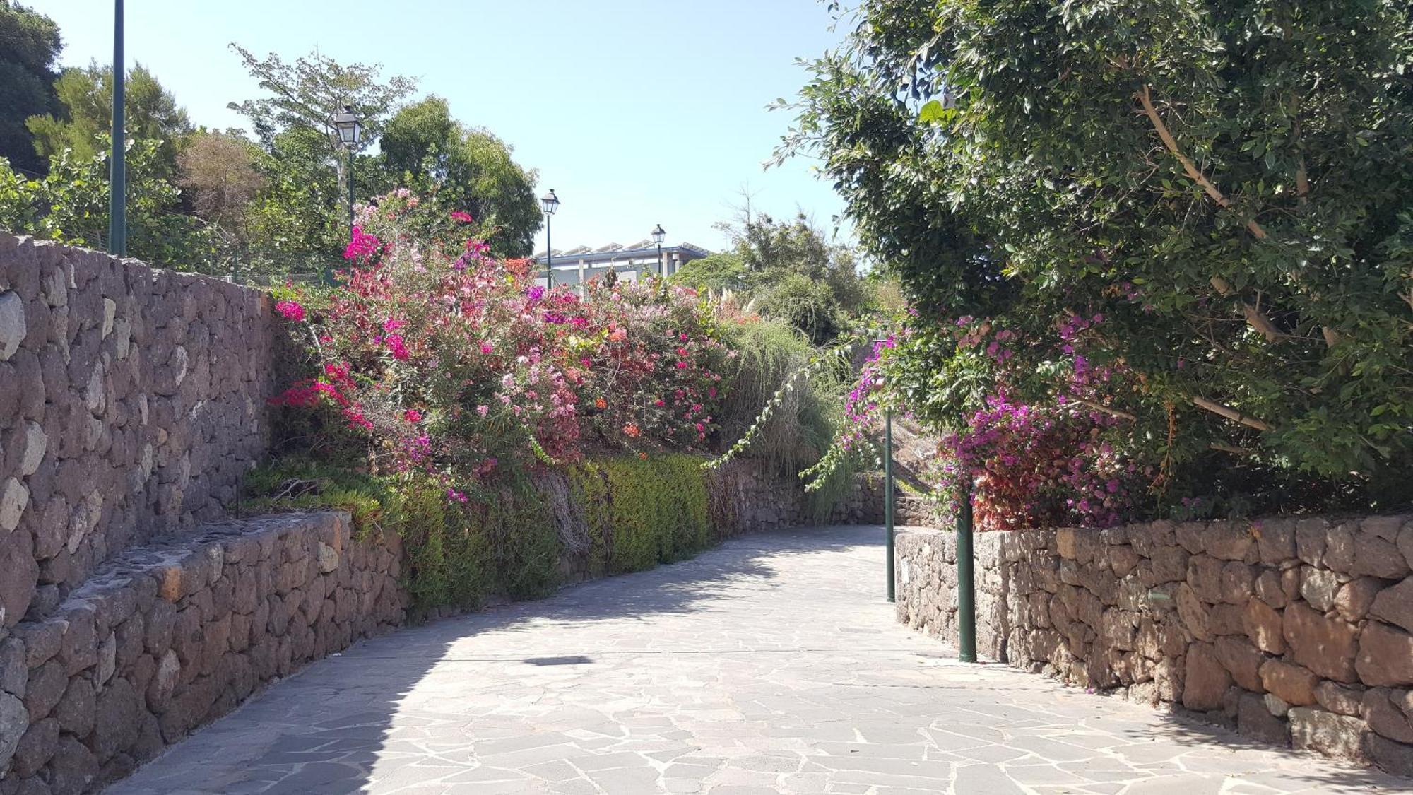 Paraíso Del Sur Playa Paraiso (Tenerife) Exterior foto